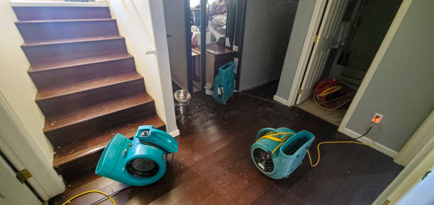 Best Water damage cleanup near me  in Addison, WV