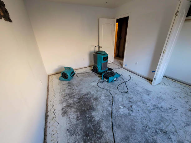 Best Mold removal after water damage  in Addison, WV