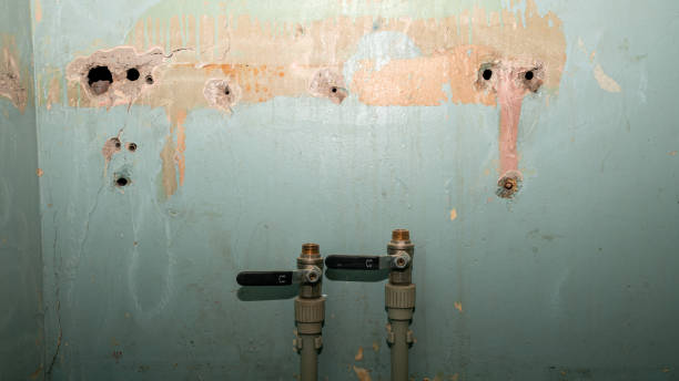 Best Professional water damage repair  in Addison, WV