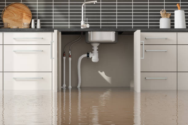Water damage restoration mold remediation in Addison, WV