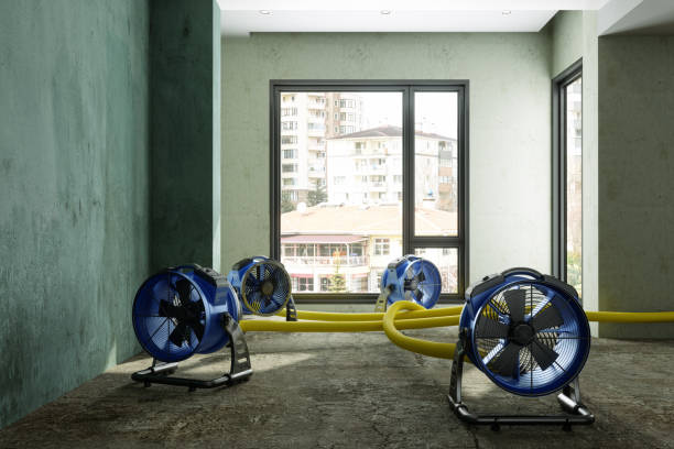 Best Emergency water damage restoration  in Addison, WV